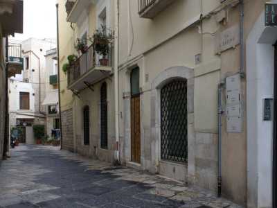 Alla fine del 1200 fu costruita la nuova sinagoga, eretta a poca distanza dalla precedente. Sorgeva infatti tra le attuali strada San Gaetano e strada san Sabino...